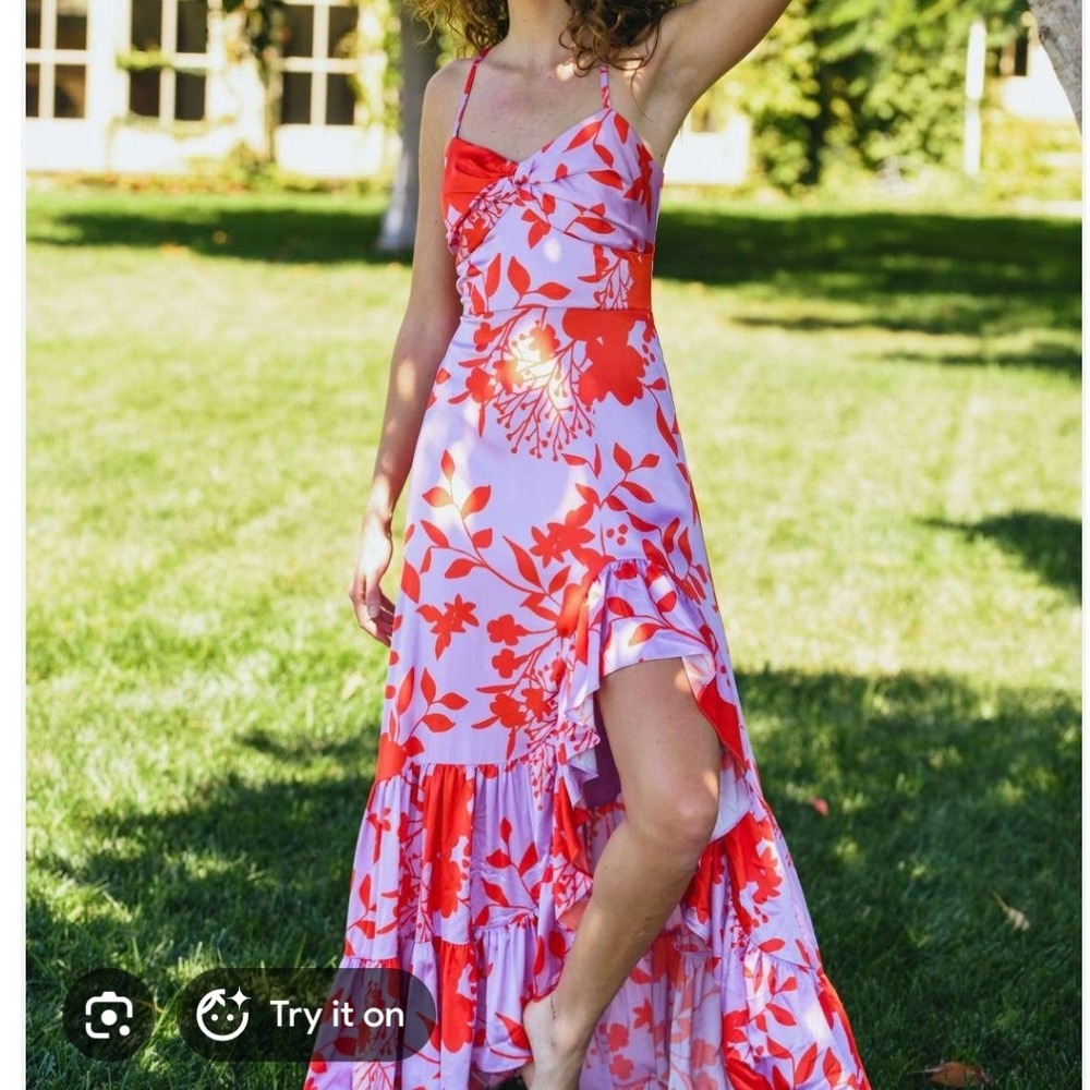 Hutch Pink and Red Floral Maxi Dress